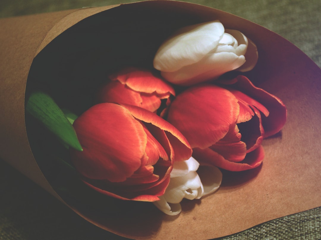 Sanrio Bouquet: A Delightful Gift for Any Occasion
